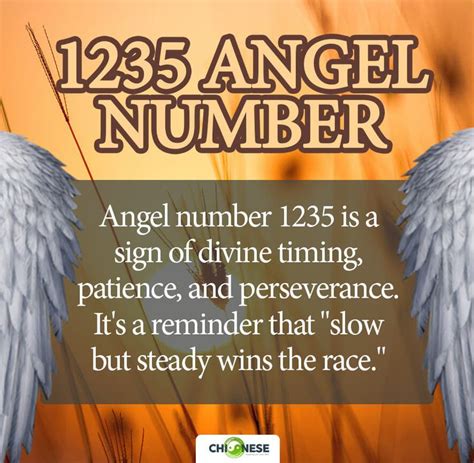 1235 Angel Number Twin Flame